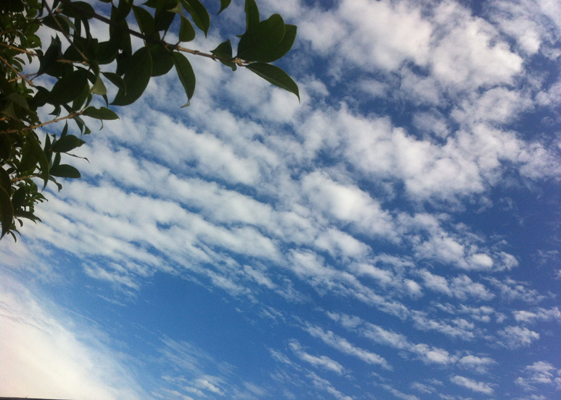 安徽得潤電氣 高低壓開關(guān)柜 變頻柜 咨詢熱線4000551777 安徽得潤電氣 高低壓開關(guān)柜 變頻柜 咨詢熱線4000551777